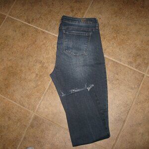 *KUT FROM THE KLOTH* Plus Black Carlo Ankle Skinny Jeans Size 14